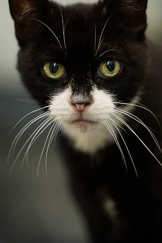 Photo taken with Nikon D500