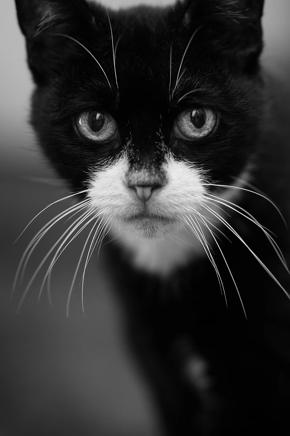 Photo taken with Nikon D500