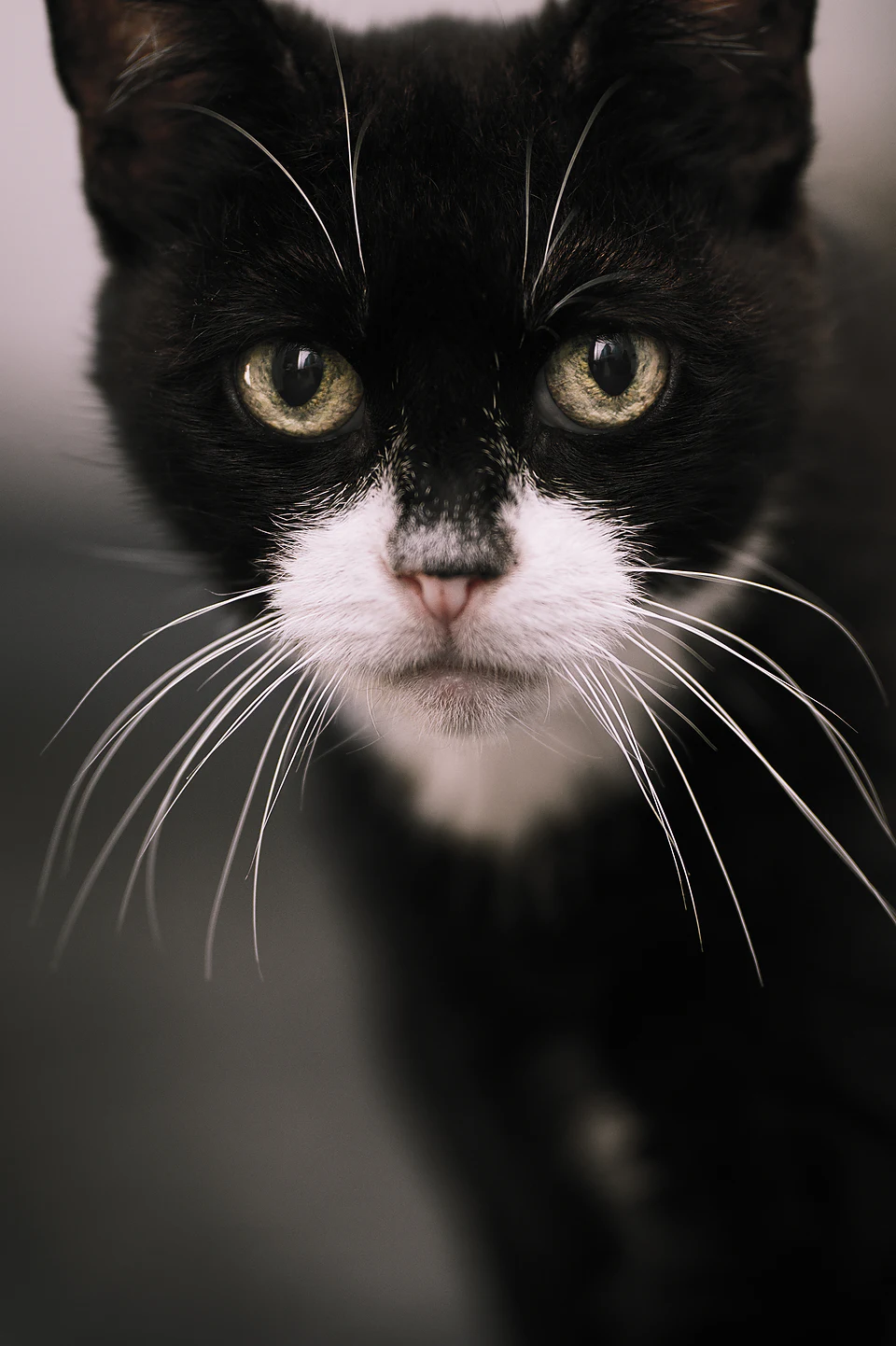 Photo taken with Nikon D500